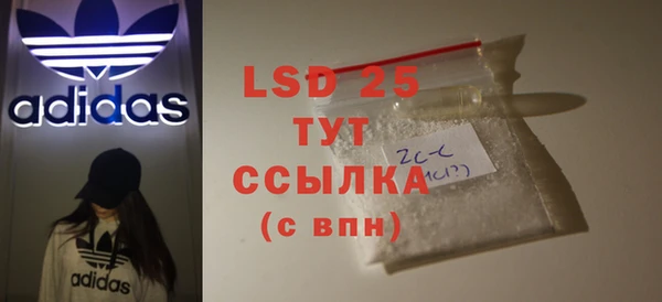спиды Новодвинск
