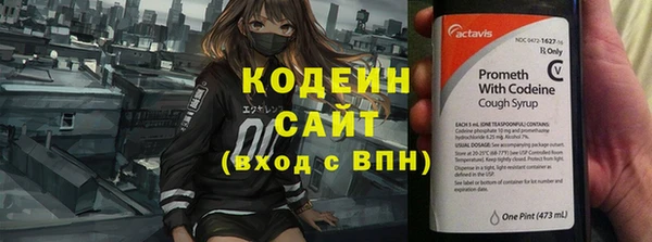 спиды Новодвинск