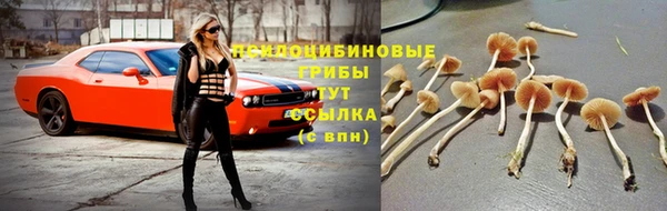 кокаин премиум Новозыбков
