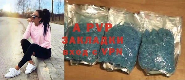 спиды Новодвинск