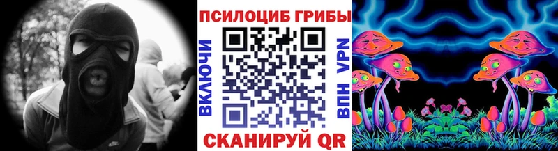 Псилоцибиновые грибы Cubensis  Починок 