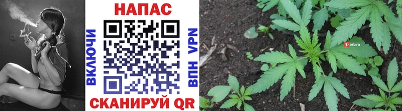 купить сайты Починок Каннабис Bruce Banner